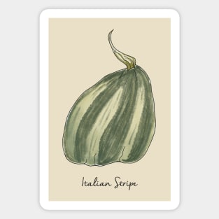 Striped Squash Magnet